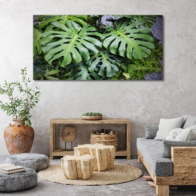 Tableau toile imprimée Feuilles de monstera vertes dans la nature