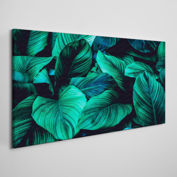 Tableau sur toile Feuilles tropicales vertes