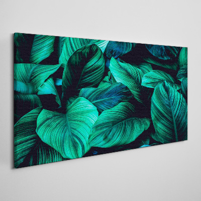 Tableau sur toile Feuilles tropicales vertes