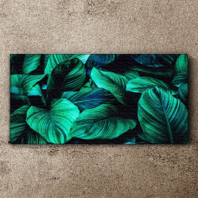 Tableau sur toile Feuilles tropicales vertes