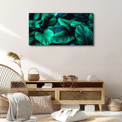 Tableau sur toile Feuilles tropicales vertes