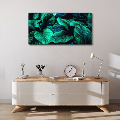 Tableau sur toile Feuilles tropicales vertes