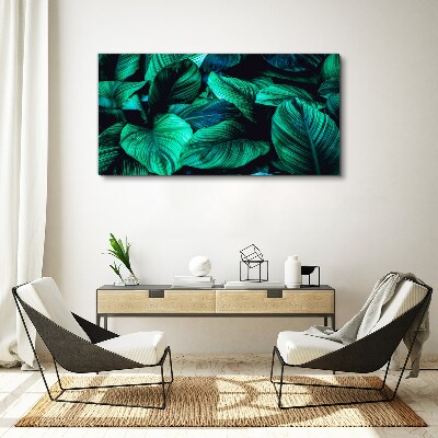 Tableau sur toile Feuilles tropicales vertes