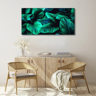 Tableau sur toile Feuilles tropicales vertes