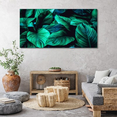 Tableau sur toile Feuilles tropicales vertes