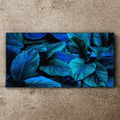 Tableau sur toile Un paradis vert aux nuances de bleu