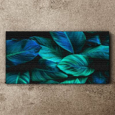 Tableau toile imprimée Feuilles vertes à l'ombre profonde