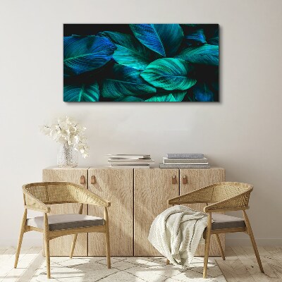 Tableau toile imprimée Feuilles vertes à l'ombre profonde