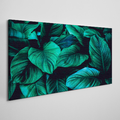 Tableau sur toile Feuilles tropicales vertes