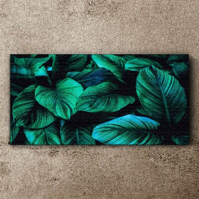 Tableau sur toile Feuilles tropicales vertes
