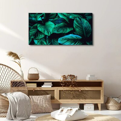 Tableau sur toile Feuilles tropicales vertes