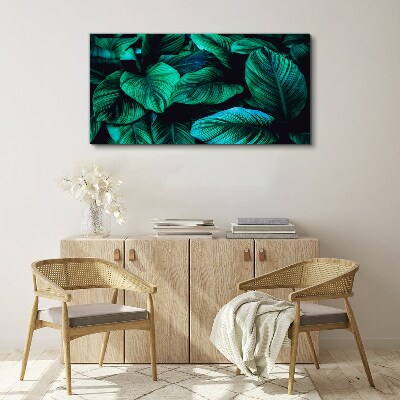 Tableau sur toile Feuilles tropicales vertes
