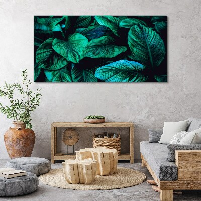 Tableau sur toile Feuilles tropicales vertes