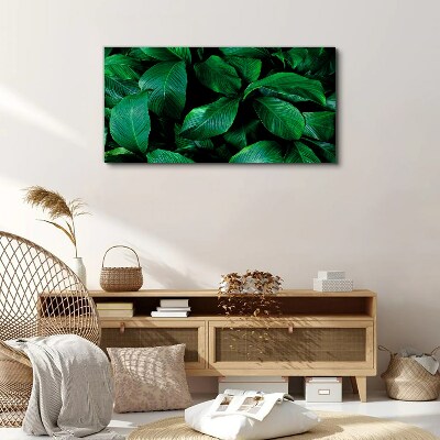 Tableau sur toile Symphonie verte des feuilles