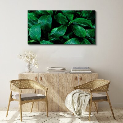 Tableau sur toile Symphonie verte des feuilles