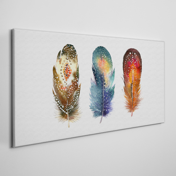 Tableau toile imprimée Plumes colorées