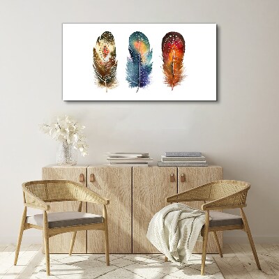 Tableau toile imprimée Plumes colorées