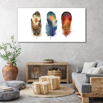 Tableau toile imprimée Plumes colorées