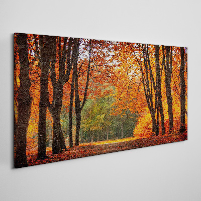 Tableau imprimé sur toile Allée d'arbres d'automne