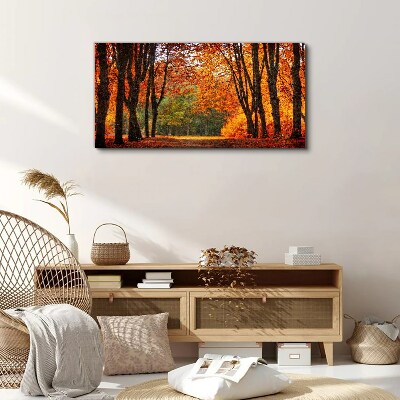Tableau imprimé sur toile Allée d'arbres d'automne