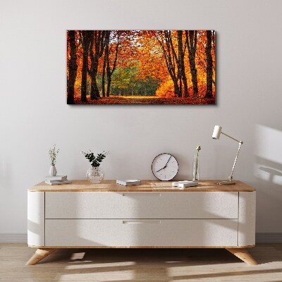 Tableau imprimé sur toile Allée d'arbres d'automne