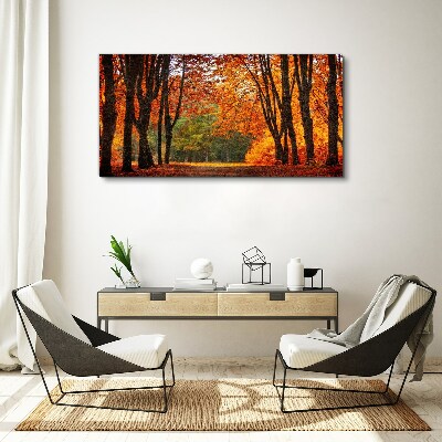 Tableau imprimé sur toile Allée d'arbres d'automne