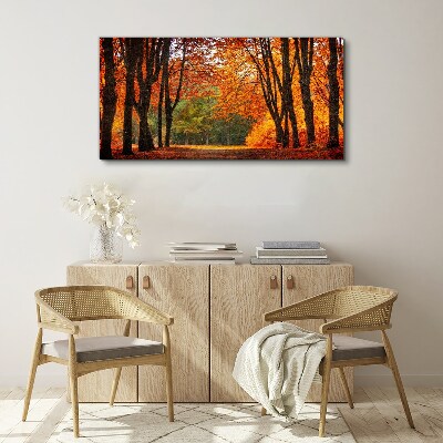 Tableau imprimé sur toile Allée d'arbres d'automne