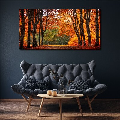 Tableau imprimé sur toile Allée d'arbres d'automne