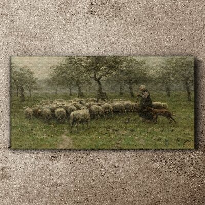 Tableau toile imprimée Des moutons paissent dans un paysage mystique