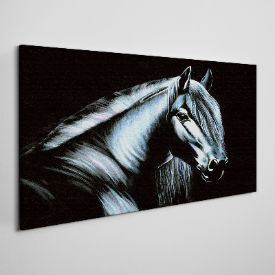 Tableau imprimé sur toile Un cheval noir dans la lueur de la lumière