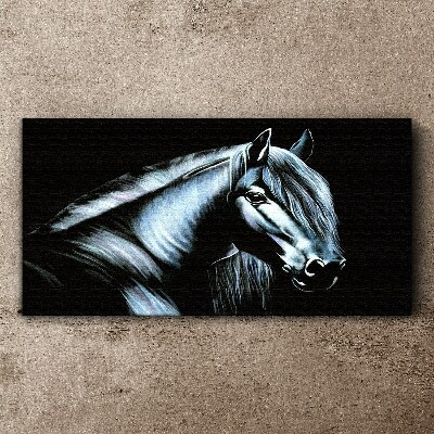 Tableau imprimé sur toile Un cheval noir dans la lueur de la lumière