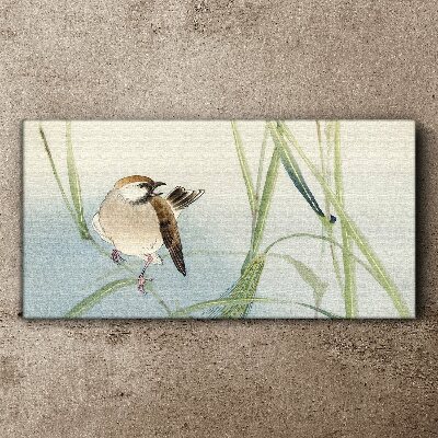 Tableau sur toile Une mésange contre l'herbe