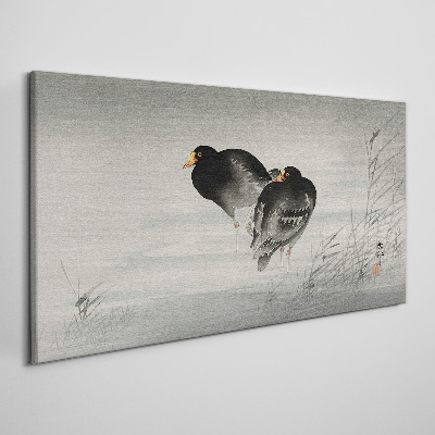 Tableau toile imprimée Deux canards sur une eau calme