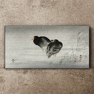 Tableau toile imprimée Deux canards sur une eau calme
