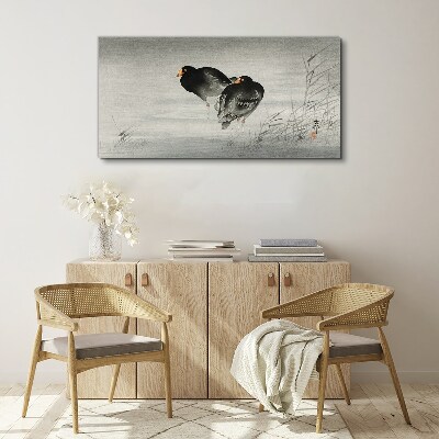 Tableau toile imprimée Deux canards sur une eau calme