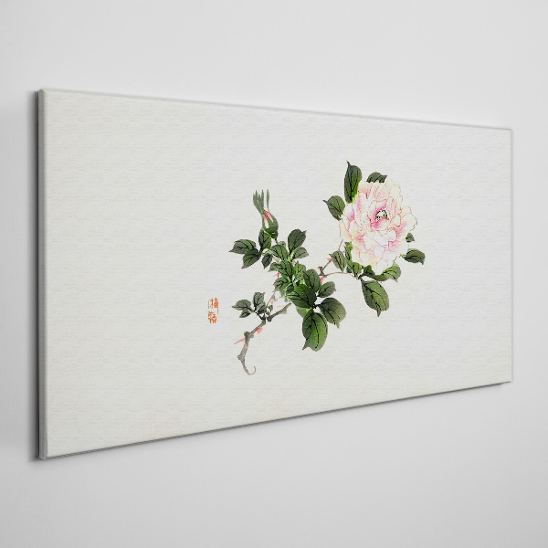 Tableau sur toile Fleur de pivoine sur fond clair