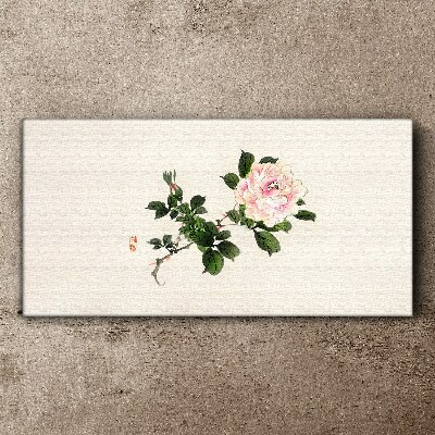 Tableau sur toile Fleur de pivoine sur fond clair