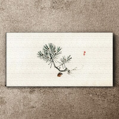 Tableau sur toile "Pin sur fond blanc"