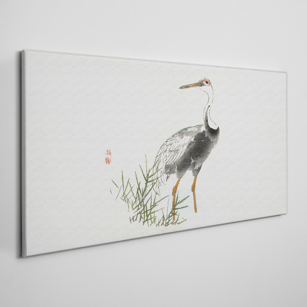 Tableau toile imprimée Cigogne noire sur fond d'herbe