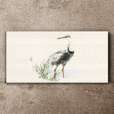 Tableau toile imprimée Cigogne noire sur fond d'herbe