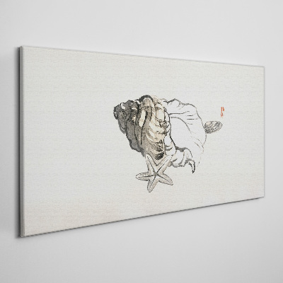 Tableau sur toile Coquille d'étoile de mer