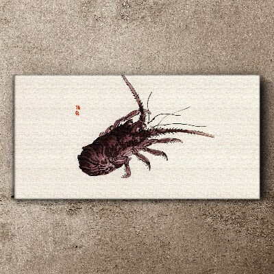Tableau imprimé sur toile L'élégance de la crevette