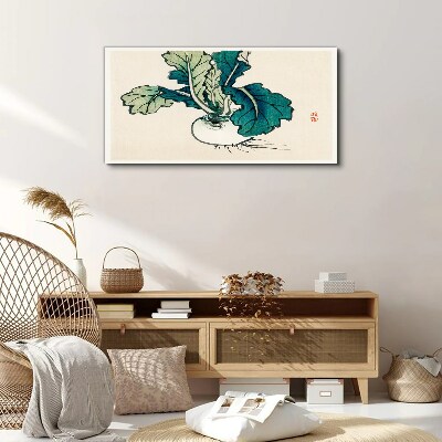 Tableau sur toile Radis vert sur fond clair