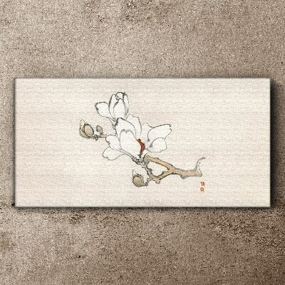 Tableau sur toile Fleurs de magnolia sur fond clair