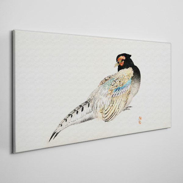 Tableau toile imprimée Faisan au plumage élégant