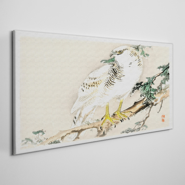 Tableau imprimé sur toile Faucon sur une branche