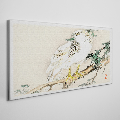 Tableau imprimé sur toile Faucon sur une branche