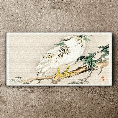 Tableau imprimé sur toile Faucon sur une branche