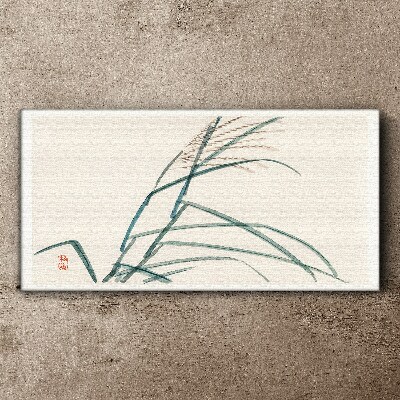 Tableau sur toile Feuilles d'herbe délicates
