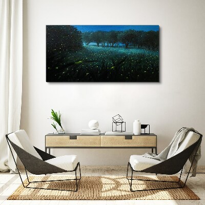 Tableau sur toile Lumières nocturnes dans la forêt